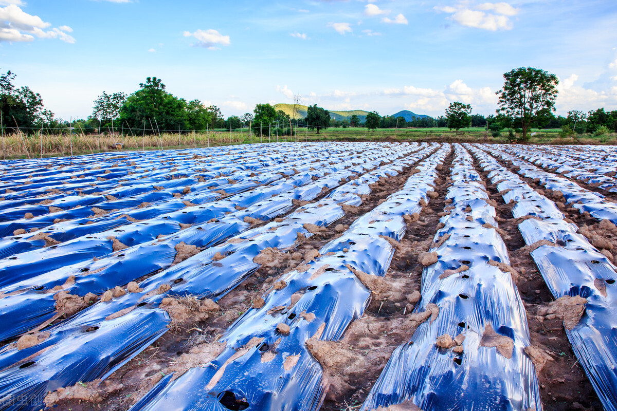 GB13735-2017聚乙烯吹塑農(nóng)用地面覆蓋薄膜測試項目及儀器介紹